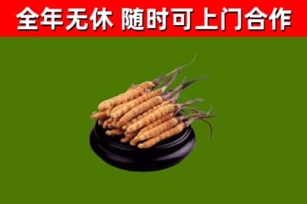 谢通门烟酒回收冬虫夏草.jpg